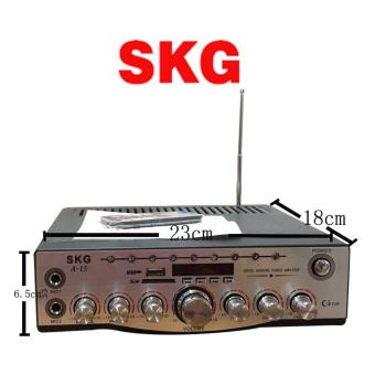 SKG เครื่องแอมป์ขยาย 1400W รุ่น SKG A-15