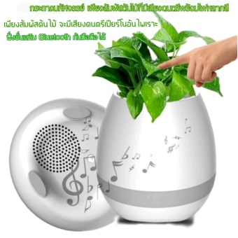 Smart music flowerpotกระถางปลูกต้นไม้มหัศจรรย์เปลี่ยนสีได้เวลาสัมผัสจะเกิดเสียงโน๊ตดนตรีตามจังหวะ เชื่อมต่อมือถือเลือกเพลงได้