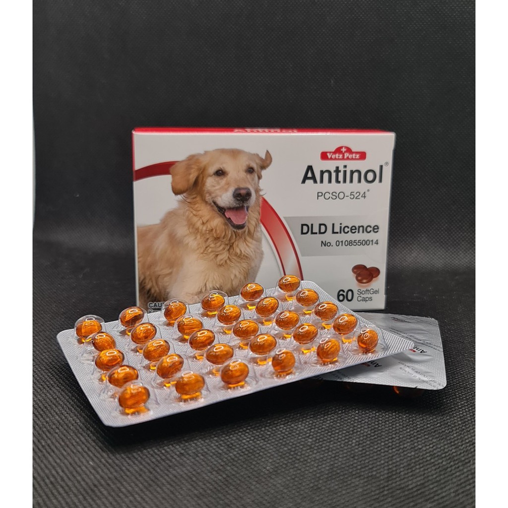 Antinol for dogs อาหารเสริม บำรุงข้อสุนัข ขนาด 60 เม็ด Exp. 03/2025