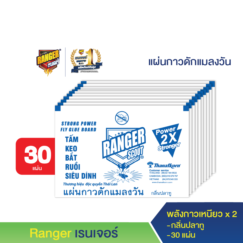 เรนเจอร์ กาวดักแมลงวัน กลิ่นปลาทู (แพ็ค 30 แผ่น) ราคา 105 บาท*ส่งฟรี