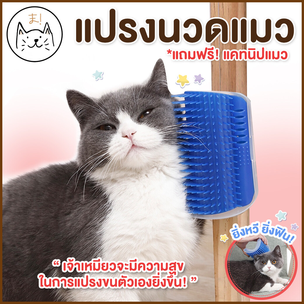 KUMA まแปรงนวดแมว แปรงหวีขน แบบเข้ามุม ที่นวดแมว แถมฟรี!แคทนิปแมว แปรงนวดขนแมว Cat Self Groomer