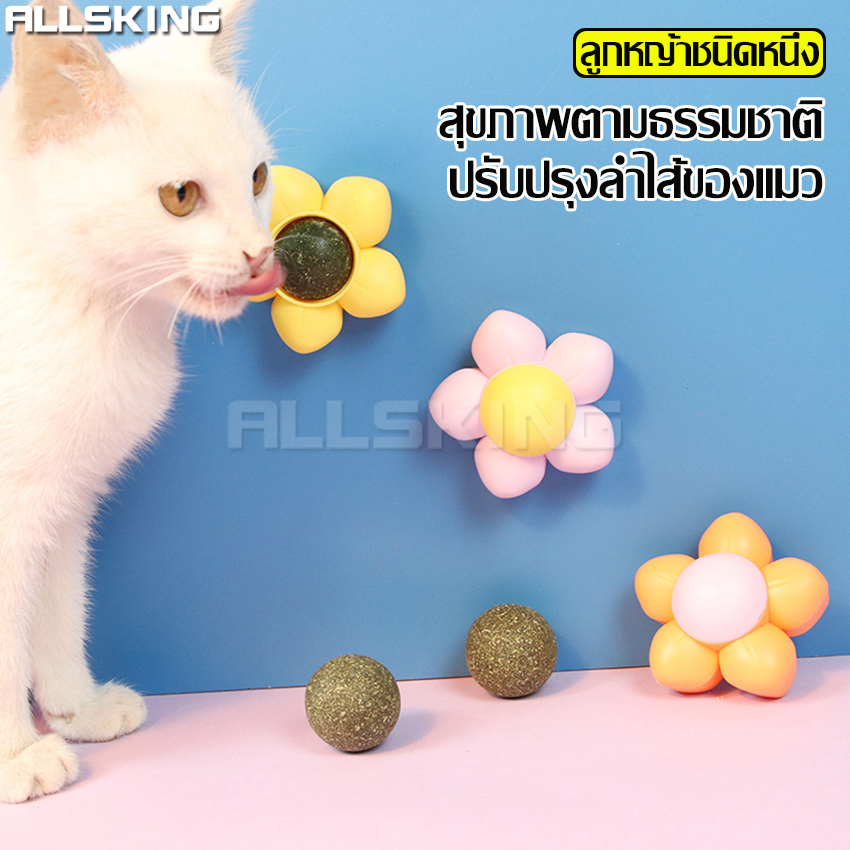 3 colors available wall-mounted catnip cat herb cat lick ball pet cat licking ball cat toy catnip ball flowers ราคา 39 บาท*ส่งฟรี