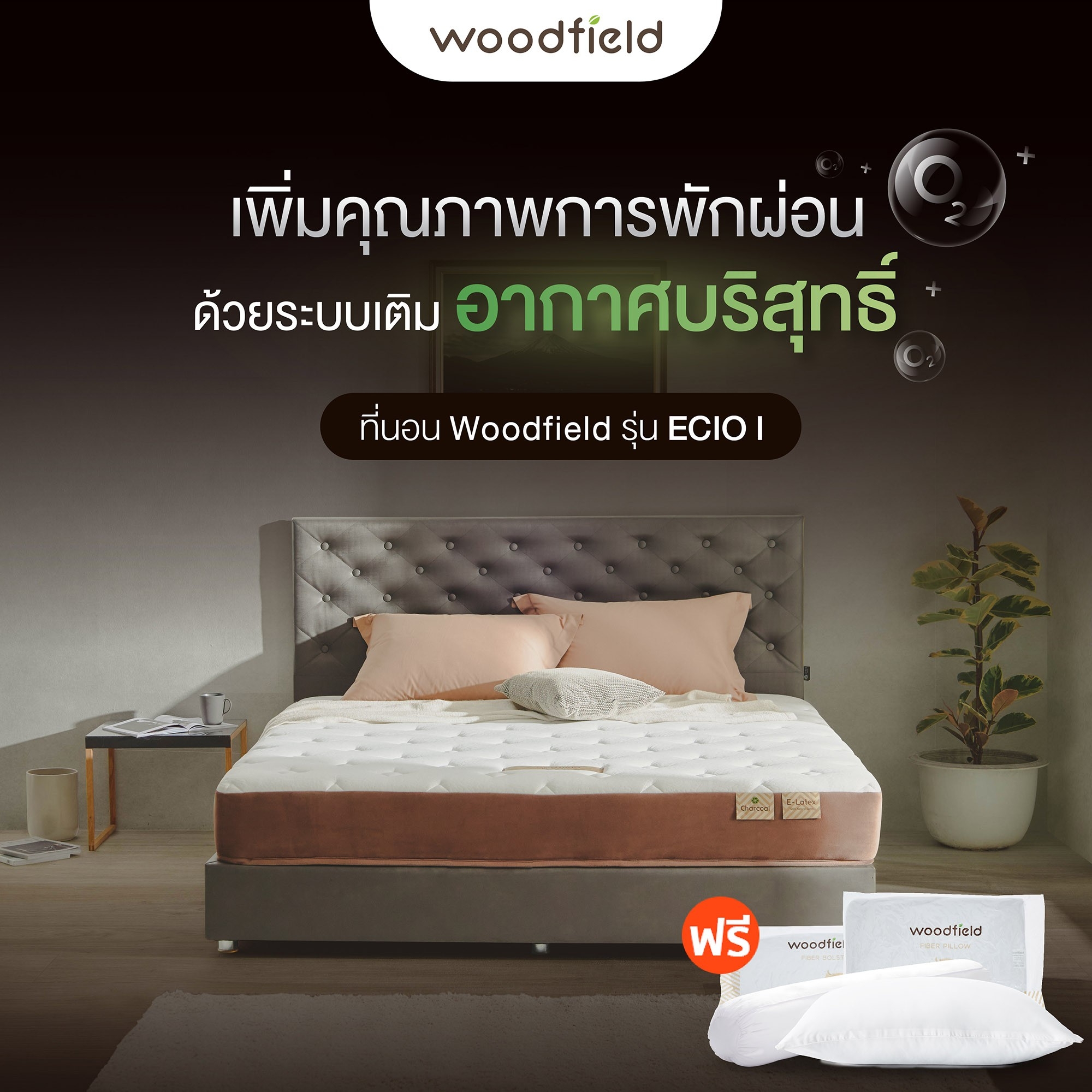 Woodfield ที่นอนแก้ปัญหาหลับยาก ผสานชาโคล ดูดซับความชิ้น ระบายอากาศได้ดี รุ่น Ecio I ฟรี หมอนหนุนสุขภาพกันไรฝุ่น ส่งฟรี ราคา 4,390 บาท*ส่งฟรี