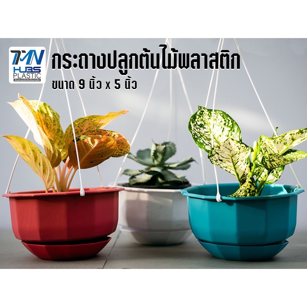 กระถางต้นไม้พลาสติกแบบแขวน พร้อมจานรอง มี 3 สี ขนาด  9 นิ้ว ราคาโรงงาน กระถางต้นไม้ กระถางพลาสติก กระถางแบบแขวน TMN_Hubs