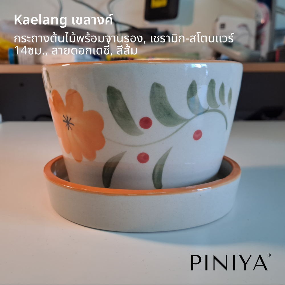 Piniya พินิยา - Kaelang เขลางค์ กระถางต้นไม้, เซรามิก สโตนแวร์, 14ซม., ลายดอกเดซี่, สีส้ม, พร้อมจานรอง ราคา 179 บาท*ส่งฟรี