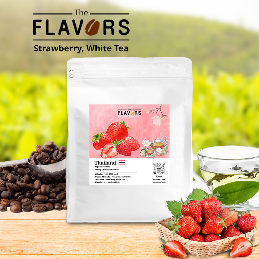 เมล็ดกาแฟคั่วกลางอ่อน 100, 250 ก. สตรอวเบอร์รี่ ชาขาว Specialty Coffee Beans ราคา 219 บาท*ส่งฟรี