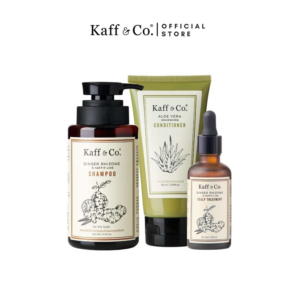 REPAIR DAMAGED HAIR SET (OILY & HAIRFALL) ราคา 1,485 บาท*ส่งฟรี