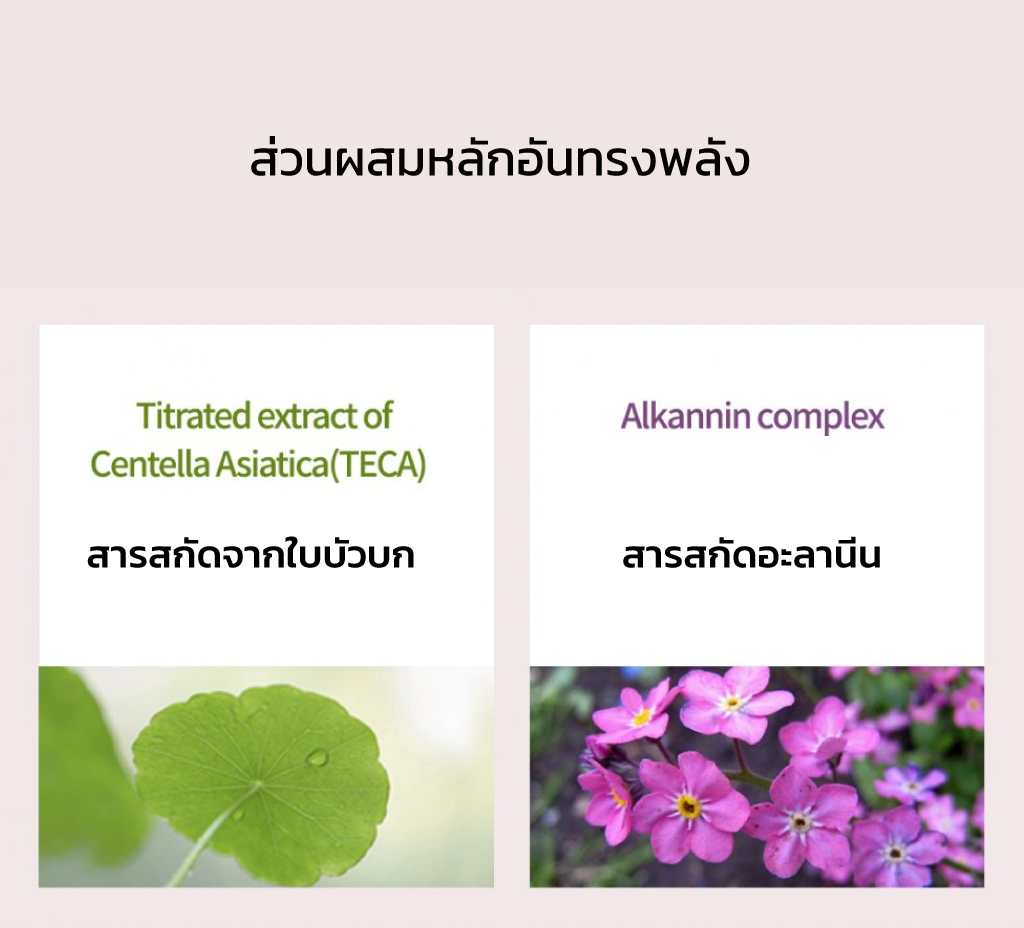 2363f78b3eca506e6429771286a8cad6.png