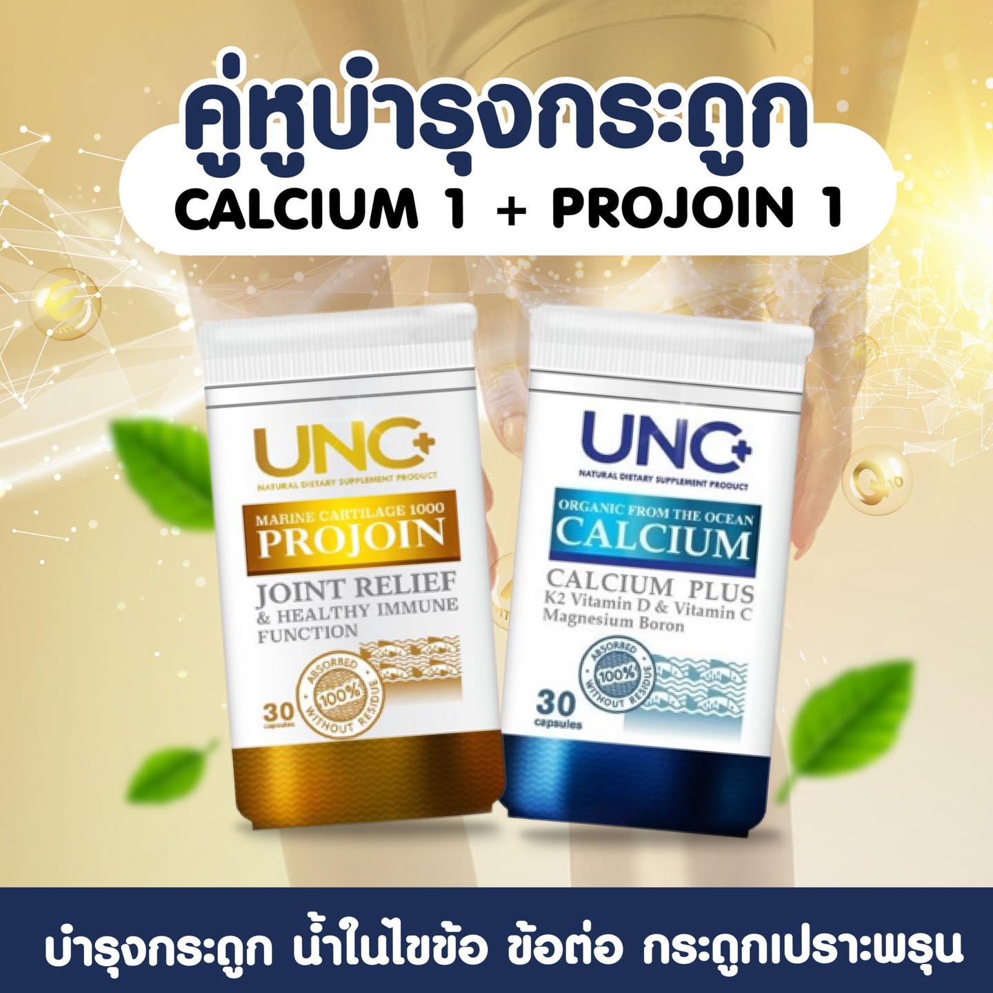 UNC Calcium แคลเซียมช่วยฟื้นฟูและบรรเทากระดูกบาง และกระดูกพรุน ( 1 กระปุก 30 แคปซูล ) + UNC Projoin คอลลาเจนไตรเปปไทด์ และกระดูกอ่อนปลา บำรุงน้ำในข้อต่างๆให้มีความยืดหยุ่น ลดอาการปวดและอาการอักเสบตามข้อต่างๆ (1 กระปุก 30 แคปซูล) ราคา 1,990 บาท*ส่งฟรี