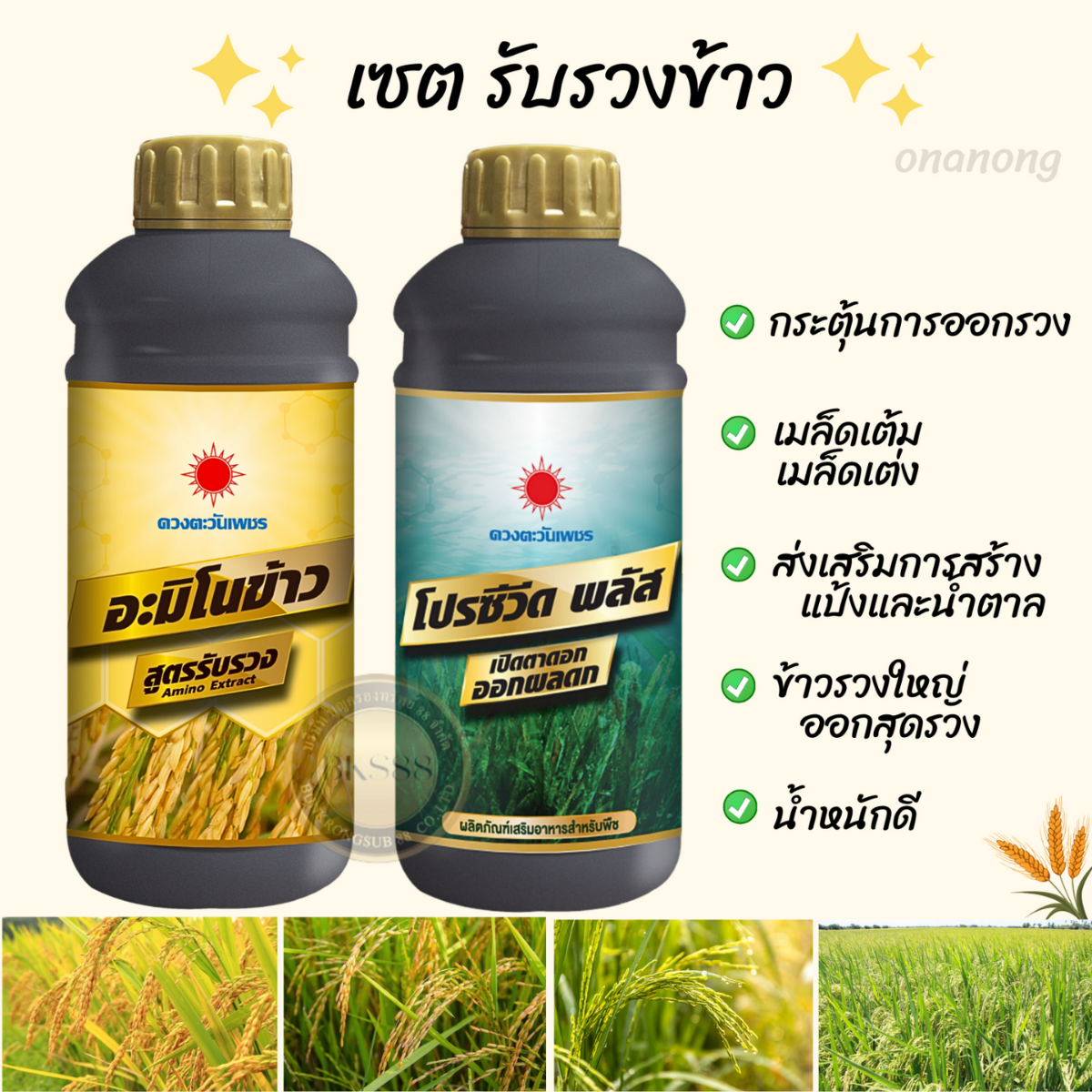 เซตคู่ อะมิโนข้าว สูตรรับรวง + โปรซีวีดพลัส สาหร่าย สูตรกระตุ้นการออกรวง เมล็ดใหญ่เต็มรวง น้ำหนักดี การสร้างแป้งและน้ำตาล (1 ลิตร) ราคา 665 บาท*ส่งฟรี