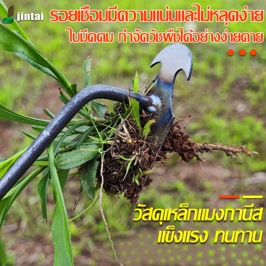 คราดหญ้า ที่ดึงวัชพืช เครื่องถอนวัชพืช คราดเหล็ก คราดเหล็กชุบ ตัวส้อมทำจากเหล็กแมงกานีส คุณภาพดี ทน แข็งแรง ไม่เสียรูปง่าย ราคา 59 บาท*ส่งฟรี