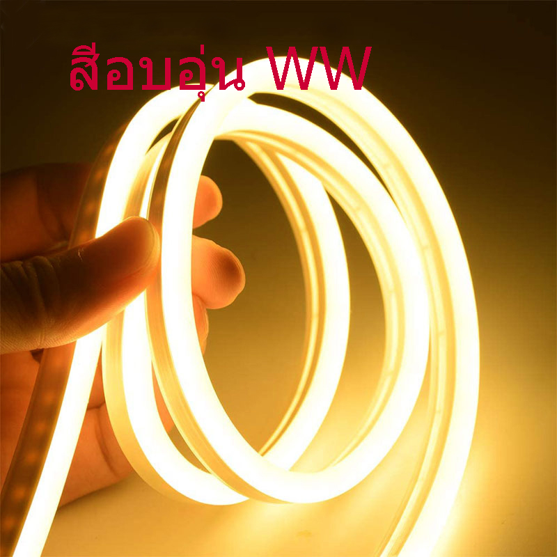 ไฟเส้น 12v 6mm ไฟนีออนเฟกช์ LED ตัดได้ทุก2.5cm ไฟเส้น ไฟสว่าง ไฟป้ายอักษรณ์ ไฟทำป้าย ซิลิโคนกันน้ำกันฝน หลอดไฟLED ไฟ