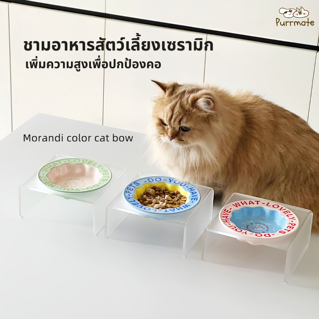 Ceramic Bowl for Cats with Patterned Edges + Elevated Acrylic Bowl Stand (Diy, Match It Yourself) ราคา 129 บาท*ส่งฟรี