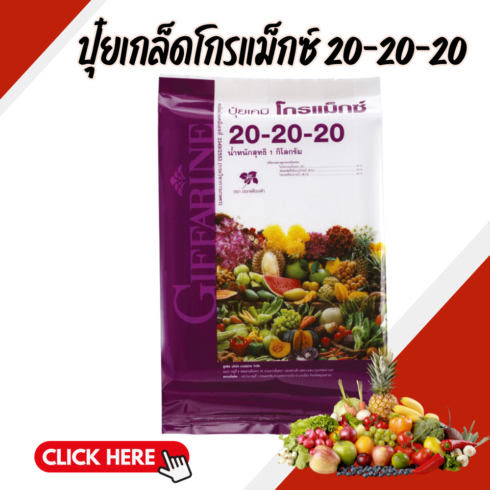 ปุ๋ย ปุ๋ยกิฟฟารีน ปุ๋ยเกล็ด สูตร 20-20-20 พัฒนาช่อดอก ลำต้น ใช้เพื่อเร่งต้นกล้วยไม้ ขยายขนาดช่อดอก ราคา 1,376 บาท*ส่งฟรี