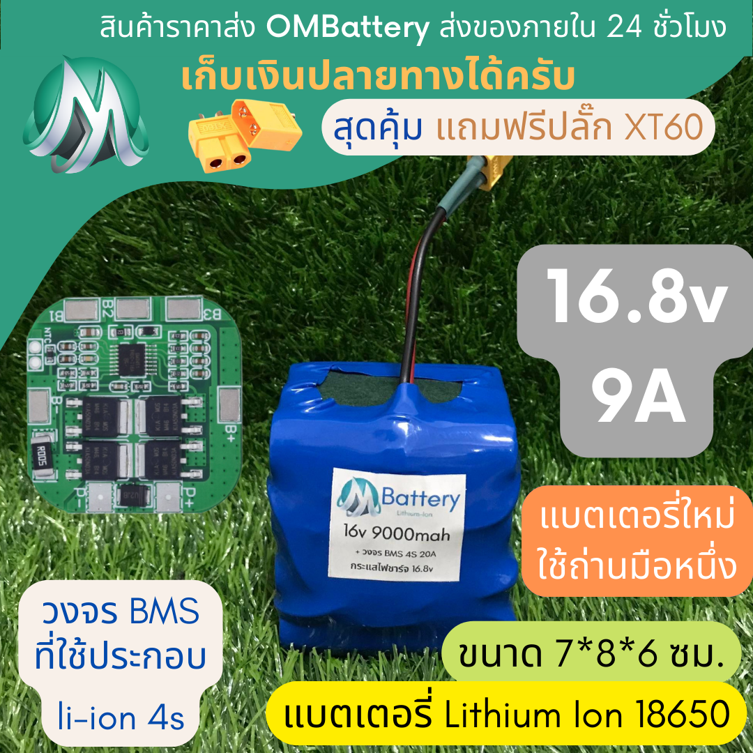 Year-Long SGEE09P1 Button Battery main image 0