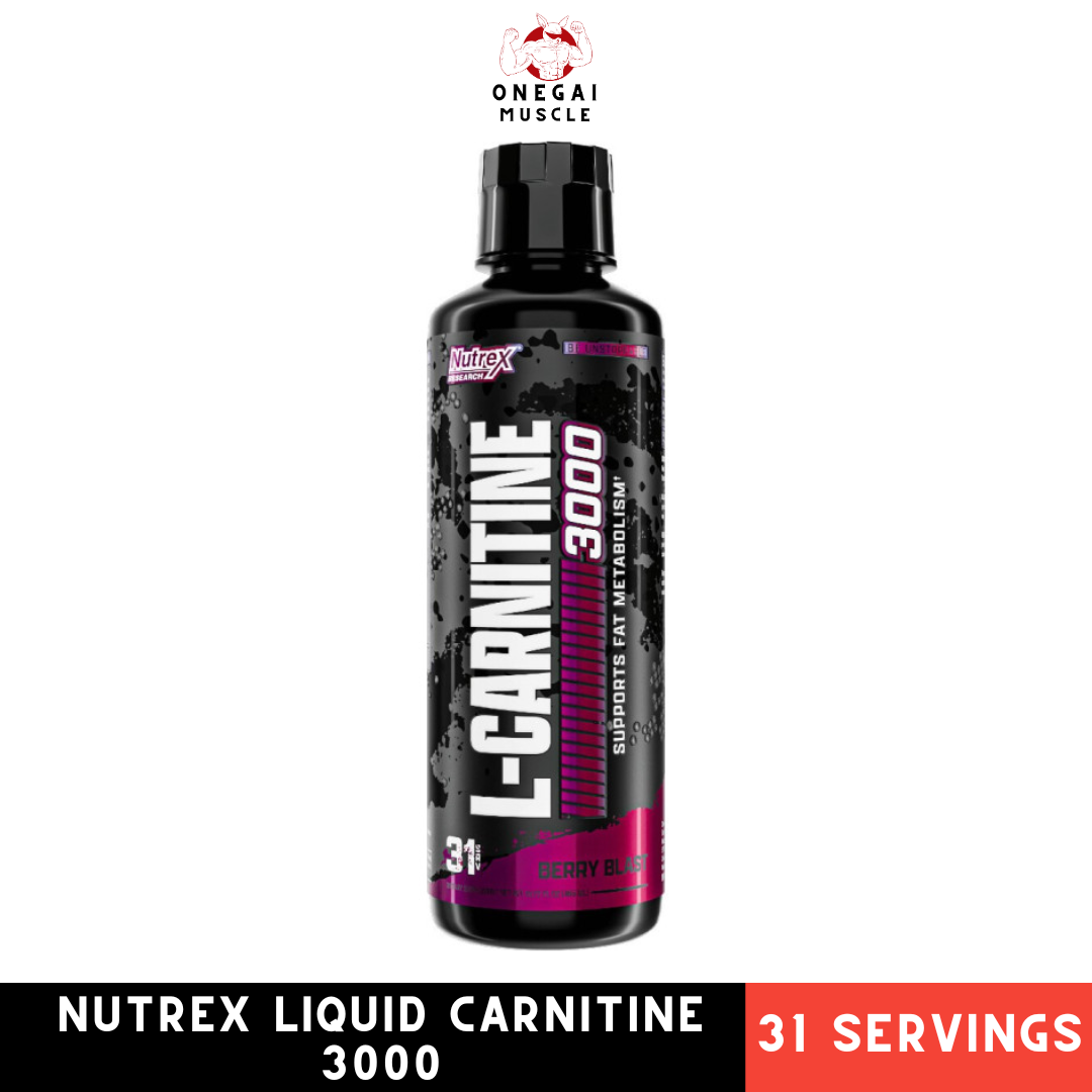 acetyl l-carnitine female fertility Acetyl L Carnitine