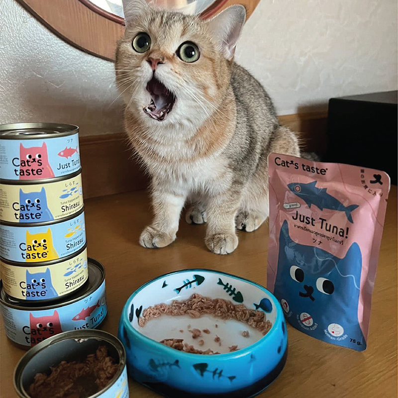 มุมมองเพิ่มเติมเกี่ยวกับ (1 ซอง) อาหารแมว อาหารเปียก Cat's taste กลิ่นหอม บำรุงสุขภาพ  ไม่มีสารอันตราย (แบบตัวเลือก) ขนาด 75 กรัม โดย Yes Pet Shop