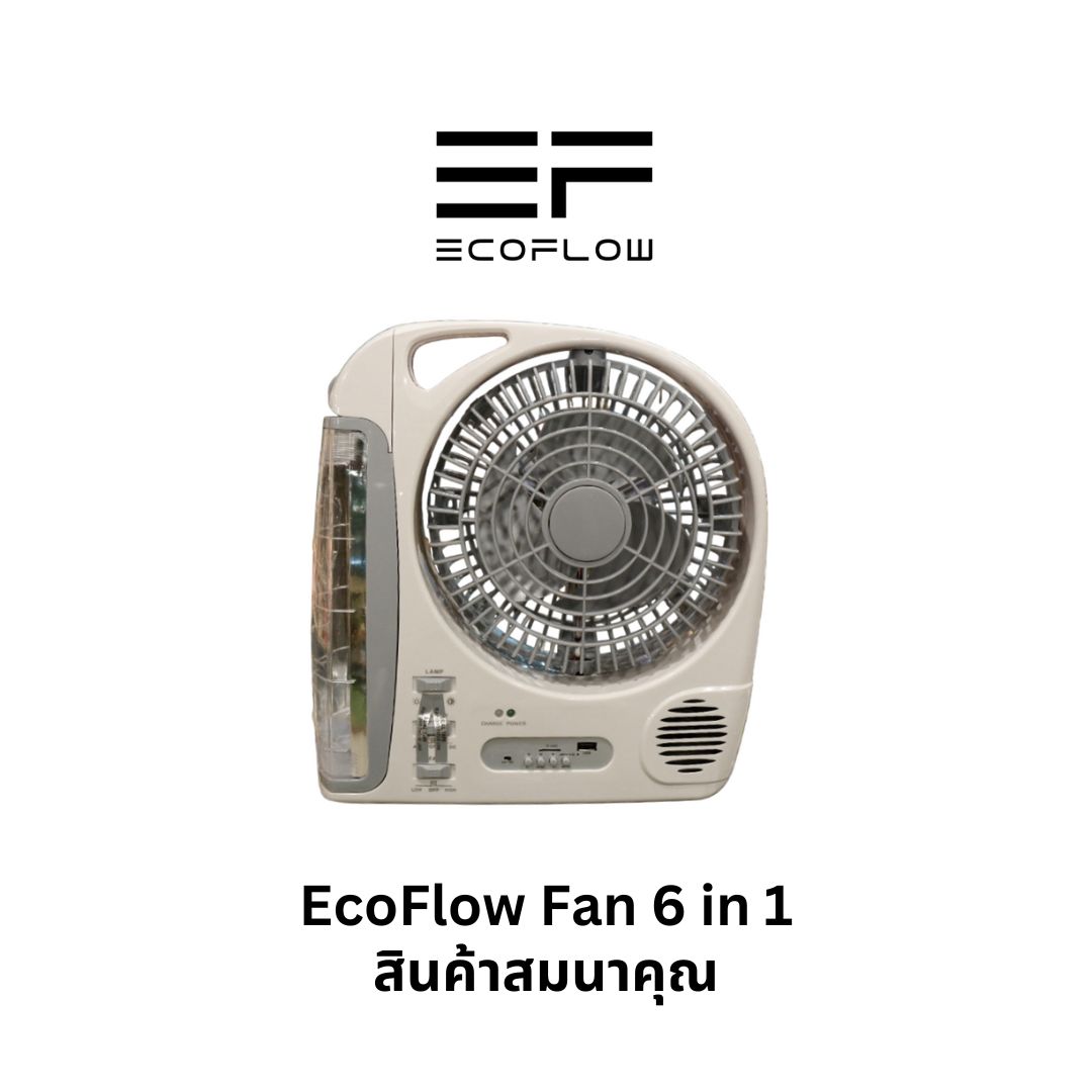 รูปสินค้า [Gift Product] Ecoflow Fan 6 in 1 Portable Fan