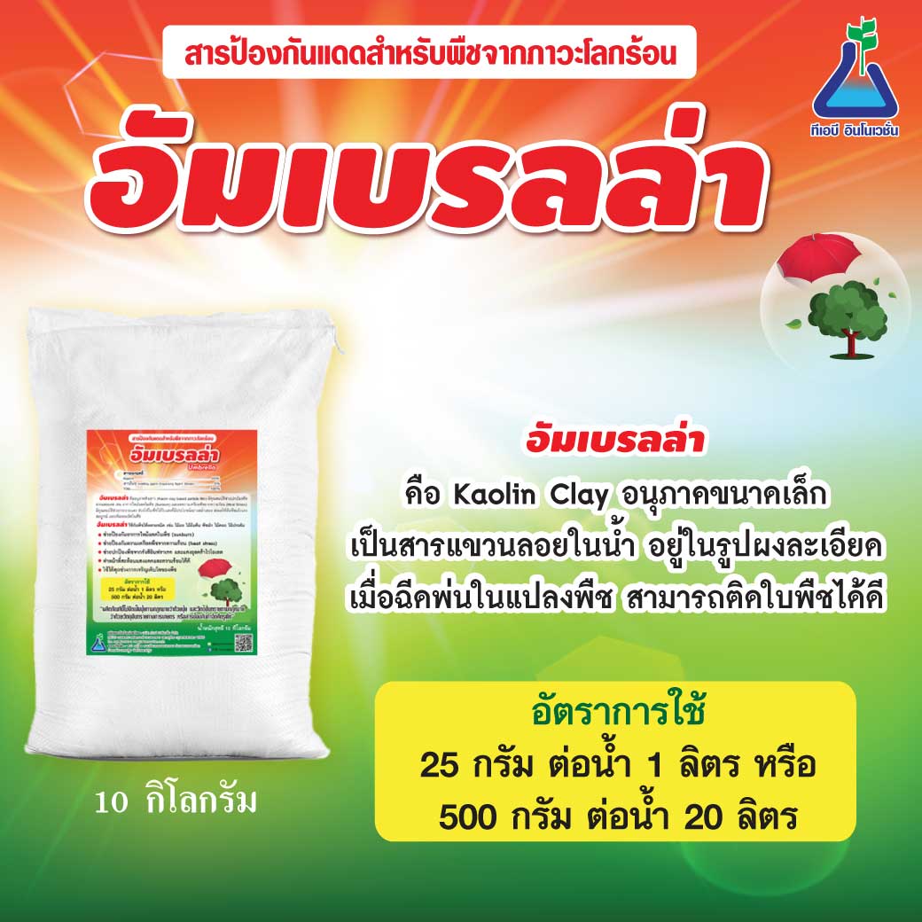 อัมเบรลล่า 10 กก. (Umbrella) สารลดความรุนแรงของแสงแดดที่มีต่อพืช Umbrella 10 kg (Sunlight Effect reduction on plants) ราคา 1,500 บาท*ส่งฟรี