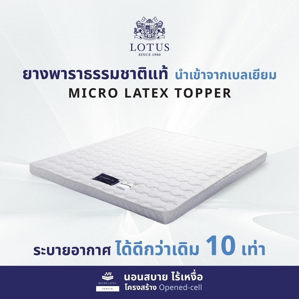 LOTUS ที่นอนยางพารารุ่น Companion Latex Made In Belgium ส่งฟรี ราคา 2,510 บาท*ส่งฟรี