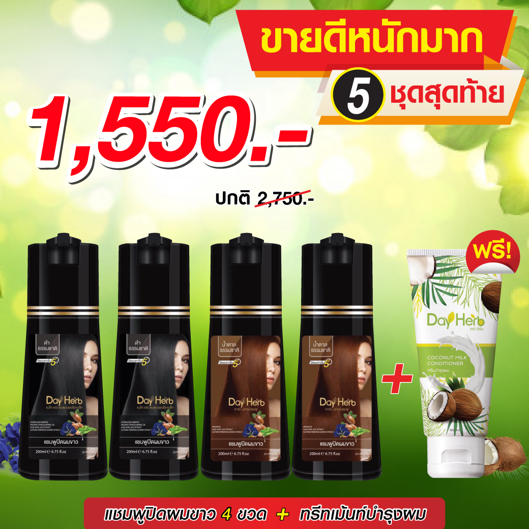 DayHerb แชมพูสมุนไพรปิดผมขาวสีดำ 4 ขวด แถมฟรี!! ทรีทเม้นท์บำรุงผม 1 ขวด ปิดผมขาวได้ใน 5 นาที ปิดผมขาวได้ใน 5 นาที ราคา 1,550 บาท*ส่งฟรี