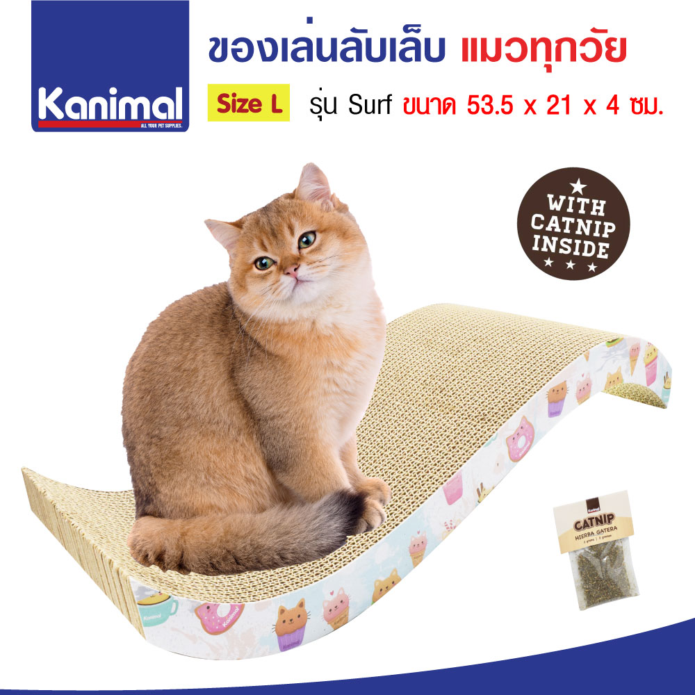 Cat Toy ของเล่นแมว ที่ข่วนเล็บแมว รุ่นคลื่นใหญ่ สำหรับแมวทุกสายพันธุ์ Size L ขนาด 53.5x21x4 ซม. แถมฟรี! Catnip