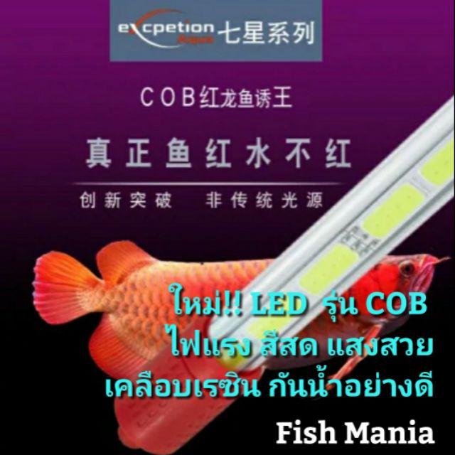 อุปกรณ์และอาหารสัตว์เลี้ยง Premium(พรีเมึ่ยม) ไม่มีขั้นต่ำ LED model, strong light, beautiful light, fresh color coating, waterproof, Alowa, beautiful fish, beautiful fish aquarium air pump fish tankKM11.3580 รอบสุดท้าย ราคา 3,689 บาท*ส่งฟรี