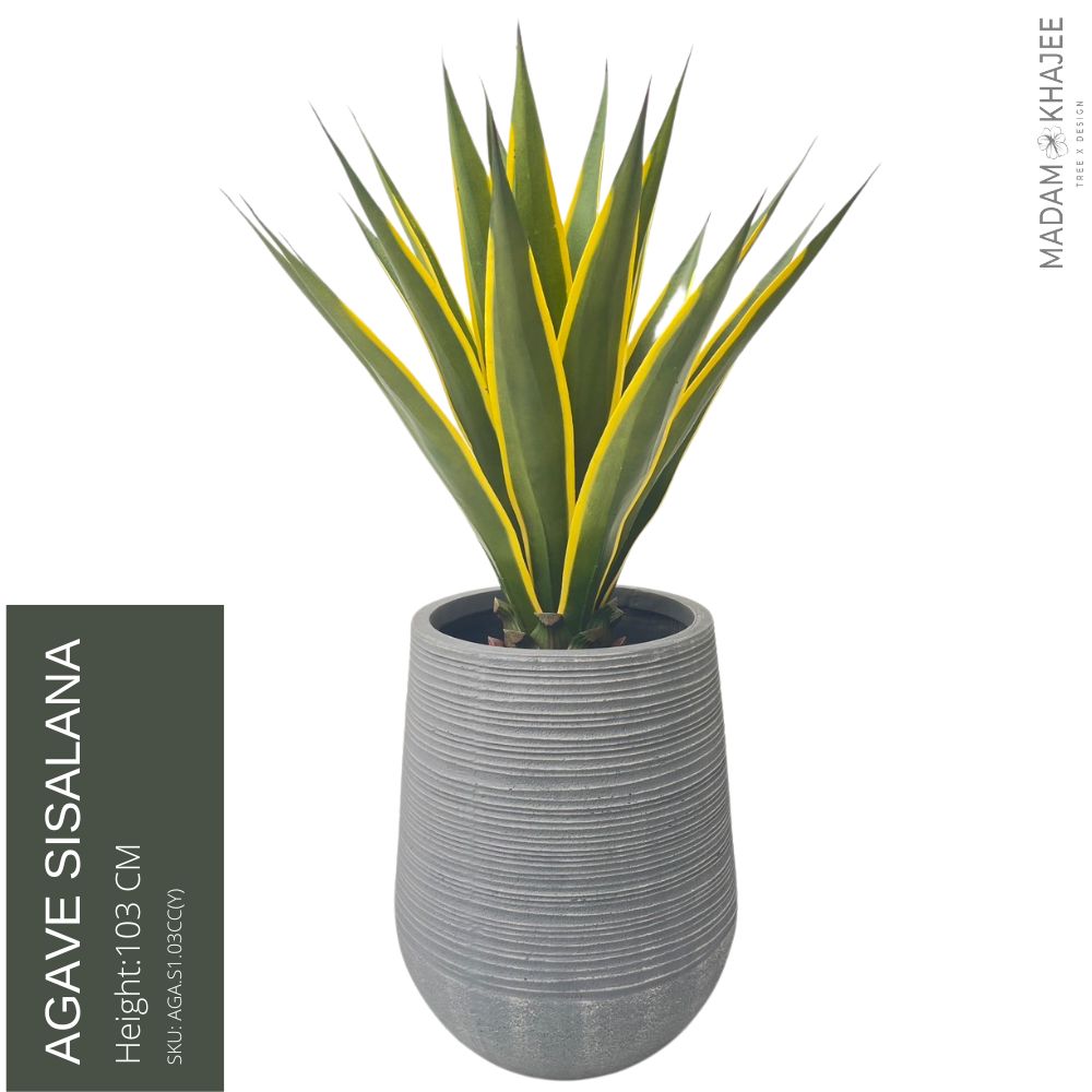Aritficial Agave sisalana Height 103 Cm ราคา 3,250 บาท*ส่งฟรี