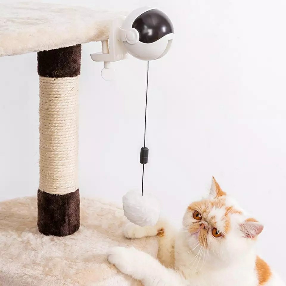?⚡สินค้ามาใหม่?⚡ของเล่นแมวโต แมวเล็ก ของเล่นแมวอัตโนมัติ