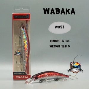 ภาพหน้าปกสินค้าเหยื่อวีแบส รุ่น WABAKA SINKING by WEEBASS ที่เกี่ยวข้อง