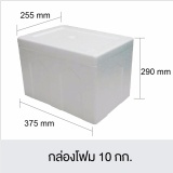 กล่องโฟม ลังโฟม อเนกประสงค์ ขนาด 10 kgs255x375x290mm