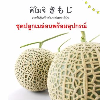 ชุดปลูกเมล่อนในถุง พร้อมอุปกรณ์25ต้น(พันธุ์คิโมจิ-ประเทศญี่ปุ่น) ชุดปลูกเมล่อนในถุง พร้อมอุปกรณ์25ต้น(พันธุ์คิโมจิ-ประเทศญี่ปุ่น)