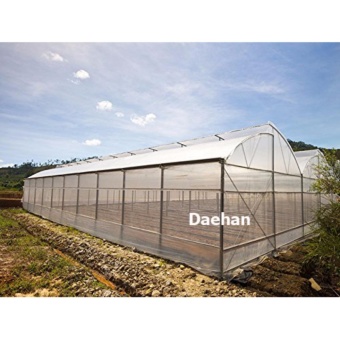 Daehan พลาสติกใสคลุมโรงเรือน ขนาด 4x6 Daehan พลาสติกใสคลุมโรงเรือน ขนาด 4x6