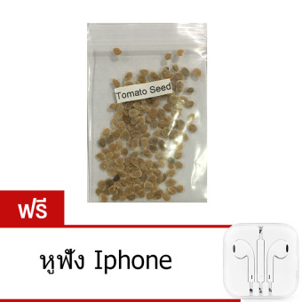 Elit BLACK tomato Seeds very Tasty Nutritive heath Vegetables Seeds 100 seeds/pack heirloom tomato seeds แถมฟรี หูฟัง iPhone Elit BLACK tomato Seeds very Tasty Nutritive heath Vegetables Seeds 100 seeds/pack heirloom tomato seeds แถมฟรี หูฟัง iPhone