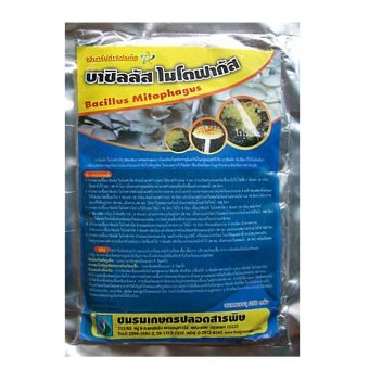 THAIGREENAGRO ไทยกรีนอะโกร THAIGREEN SHOP สินค้าการเกษตร ไมโตฟากัส จุลินทรีย์ชีวภาพกำจัดไรศัตรูเห็ด ไรไข่ปลา ไรดีด) THAIGREENAGRO ไทยกรีนอะโกร THAIGREEN SHOP สินค้าการเกษตร ไมโตฟากัส จุลินทรีย์ชีวภาพกำจัดไรศัตรูเห็ด ไรไข่ปลา ไรดีด)