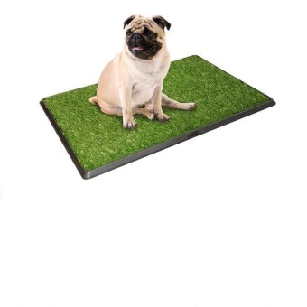 PetZoom ถาดหญ้าเทียมฝึกสุนัขขับถ่าย รุ่น PP-2025 (สีเขียว) PetZoom ถาดหญ้าเทียมฝึกสุนัขขับถ่าย รุ่น PP-2025 (สีเขียว)