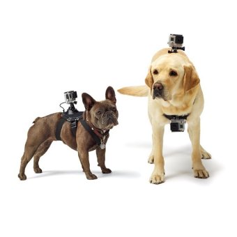 Pet Pirateอุปกรณ์ยึดกล้องติดหลังหรือหน้าอกสุนัข ใช้ได้กับsport cameraทุกรุ่น Pet Pirateอุปกรณ์ยึดกล้องติดหลังหรือหน้าอกสุนัข ใช้ได้กับsport cameraทุกรุ่น