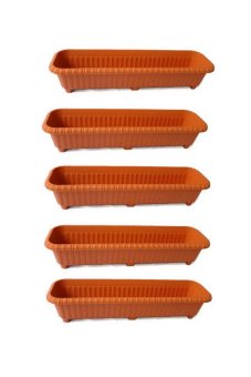 Papamami กระถางปลูกต้นไม้พลาสติก สไตล์ญี่ปุ่น 80 ซม. 5 ใบ (สีส้มอิฐ) Papamami กระถางปลูกต้นไม้พลาสติก สไตล์ญี่ปุ่น 80 ซม. 5 ใบ (สีส้มอิฐ)