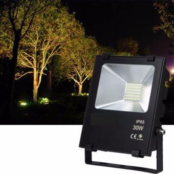 Light Farm Floodlight LED 30W โคมไฟสปอร์ตไลท์ LED 30 วัตต์แพ็ค 1 ชุด Light Farm Floodlight LED 30W โคมไฟสปอร์ตไลท์ LED 30 วัตต์แพ็ค 1 ชุด