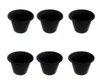 Papamami Pots Round Black Plastic กระถางพลาสติกกลม 12 นิ้ว 6 ใบ (สีดำ) Papamami Pots Round Black Plastic กระถางพลาสติกกลม 12 นิ้ว 6 ใบ (สีดำ)