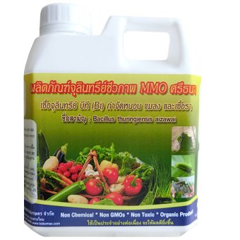 THAIGREEN เชื้อจุลินทรีย์บีที (BT) กำจัดหนอน ชนิดน้ำ THAIGREEN เชื้อจุลินทรีย์บีที (BT) กำจัดหนอน ชนิดน้ำ