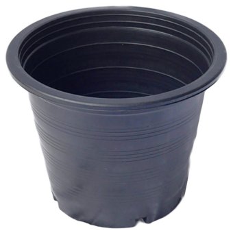 papamami Pots Round Black Plastic กระถางพลาสติกกลมสีดำ 4นิ้ว (90ใบ) papamami Pots Round Black Plastic กระถางพลาสติกกลมสีดำ 4นิ้ว (90ใบ)