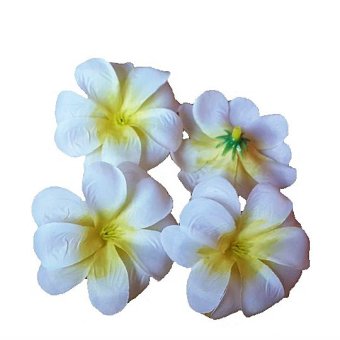 Dokpikul-หัวดอกลีลาวดี ดอกไม้ผ้า ประดิษฐ์ ขนาดเส้นผ่าศูนย์กลาง 7ซม. แพค 100ดอก-สีขาวกลางเหลือง Dokpikul-หัวดอกลีลาวดี ดอกไม้ผ้า ประดิษฐ์ ขนาดเส้นผ่าศูนย์กลาง 7ซม. แพค 100ดอก-สีขาวกลางเหลือง