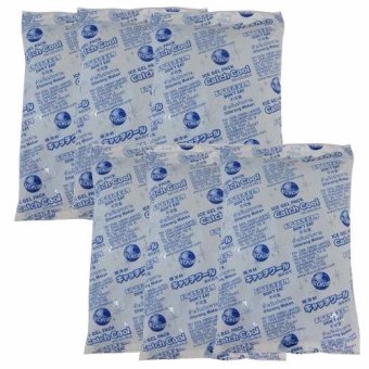 Ice Gel Pack เจลเก็บรักษาความเย็น 14x22cm 400g จำนวน 6 ชิ้น Ice Gel Pack เจลเก็บรักษาความเย็น 14x22cm 400g จำนวน 6 ชิ้น
