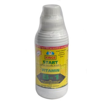 Start B1 น้ำยาเร่งราก Accelerate root solution 1 ลิตร Start B1 น้ำยาเร่งราก Accelerate root solution 1 ลิตร
