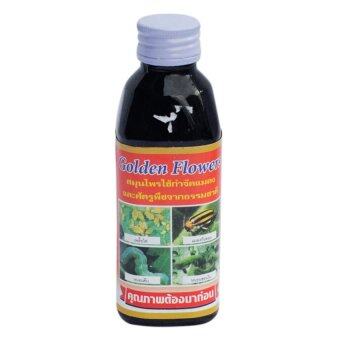 Golden Flower Herbal Insect สมุนไพรกำจัดแมลง และ ศัตรูพืช สูตรเข้มข้น ชนิดน้ำ ขนาด150 ซีซี (1ขวด) Golden Flower Herbal Insect สมุนไพรกำจัดแมลง และ ศัตรูพืช สูตรเข้มข้น ชนิดน้ำ ขนาด150 ซีซี (1ขวด)