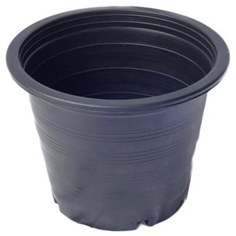 papamami Pots Round Black Plastic กระถางพลาสติกกลมสีดำ 12นิ้ว (30ใบ) papamami Pots Round Black Plastic กระถางพลาสติกกลมสีดำ 12นิ้ว (30ใบ)