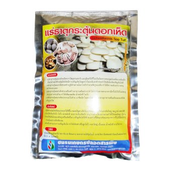 THAIGREENAGRO ไทยกรีนอะโกร THAIGREEN SHOP สินค้าการเกษตร แร่ธาตุกระตุ้นดอกเห็ด STIMULATER THAIGREENAGRO ไทยกรีนอะโกร THAIGREEN SHOP สินค้าการเกษตร แร่ธาตุกระตุ้นดอกเห็ด STIMULATER