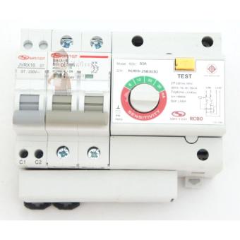 เมนเบรกเกอร์ RCBO 50A รุ่น DSAF-RCBO-2P50A เมนเบรกเกอร์ RCBO 50A รุ่น DSAF-RCBO-2P50A