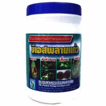 THAIGREENAGRO บีเอสพลายแก้ว ชีวินทรีย์ที่ลดการเข้าทำลายเชื้อราโรคพืช 500กรัม (1กระปุก) THAIGREENAGRO บีเอสพลายแก้ว ชีวินทรีย์ที่ลดการเข้าทำลายเชื้อราโรคพืช 500กรัม (1กระปุก)